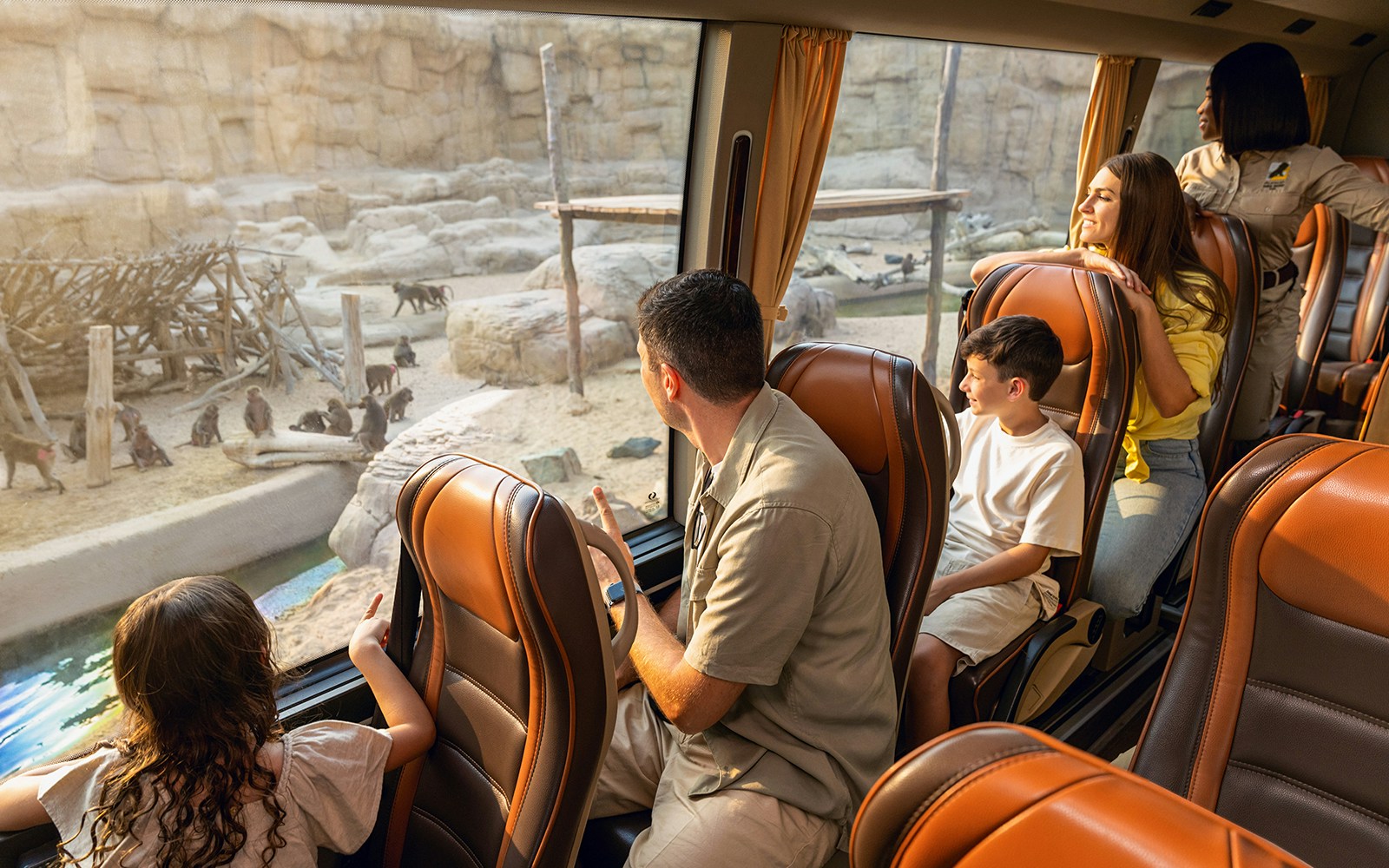 Visitors observing baboons from a safari bus at Dubai Safari Park.