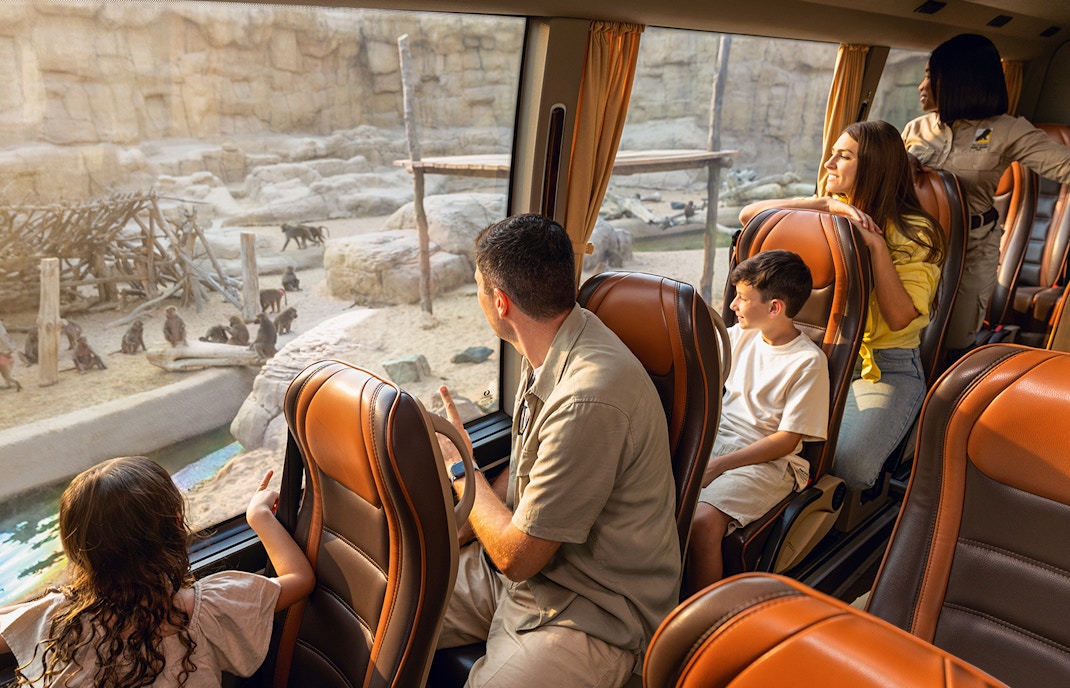 تذاكر دبي سفاري بارك مع رحلة السفاري