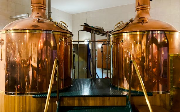 Copper brewing kettles in a brewery tour setting.