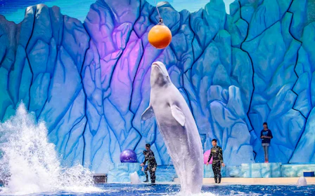Chimelong Ocean Kingdom 2-Day Tickets