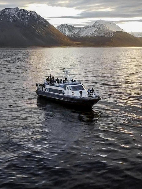 Cruise ship on a whale watching tour with mountains in the background.