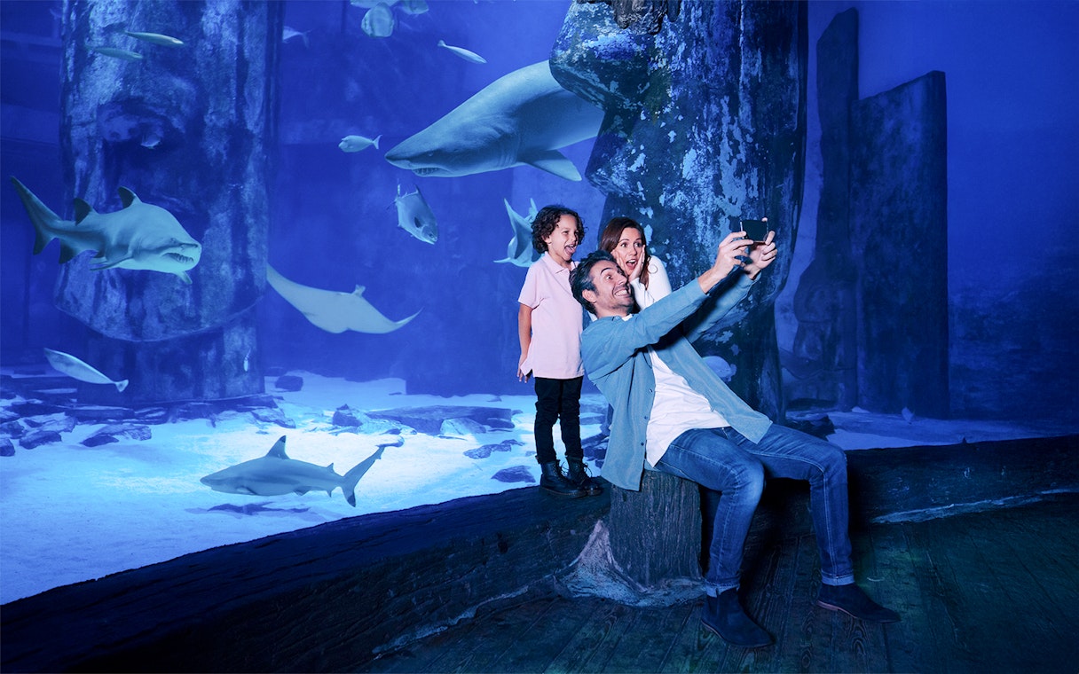 Family taking a selfie with sharks at Sea Life Aquarium, Legoland California.