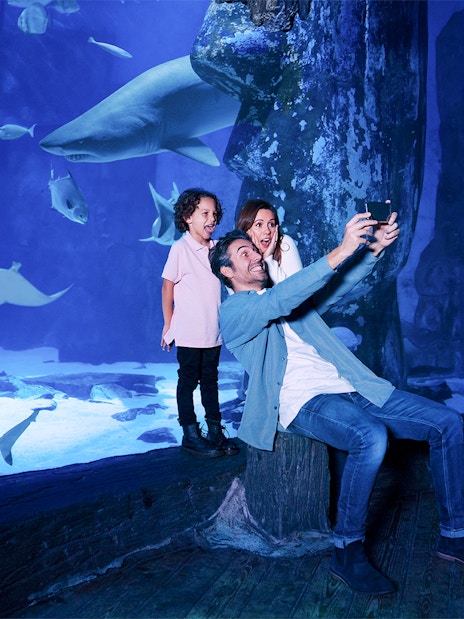 Family taking a selfie with sharks at Sea Life Aquarium, Legoland California.