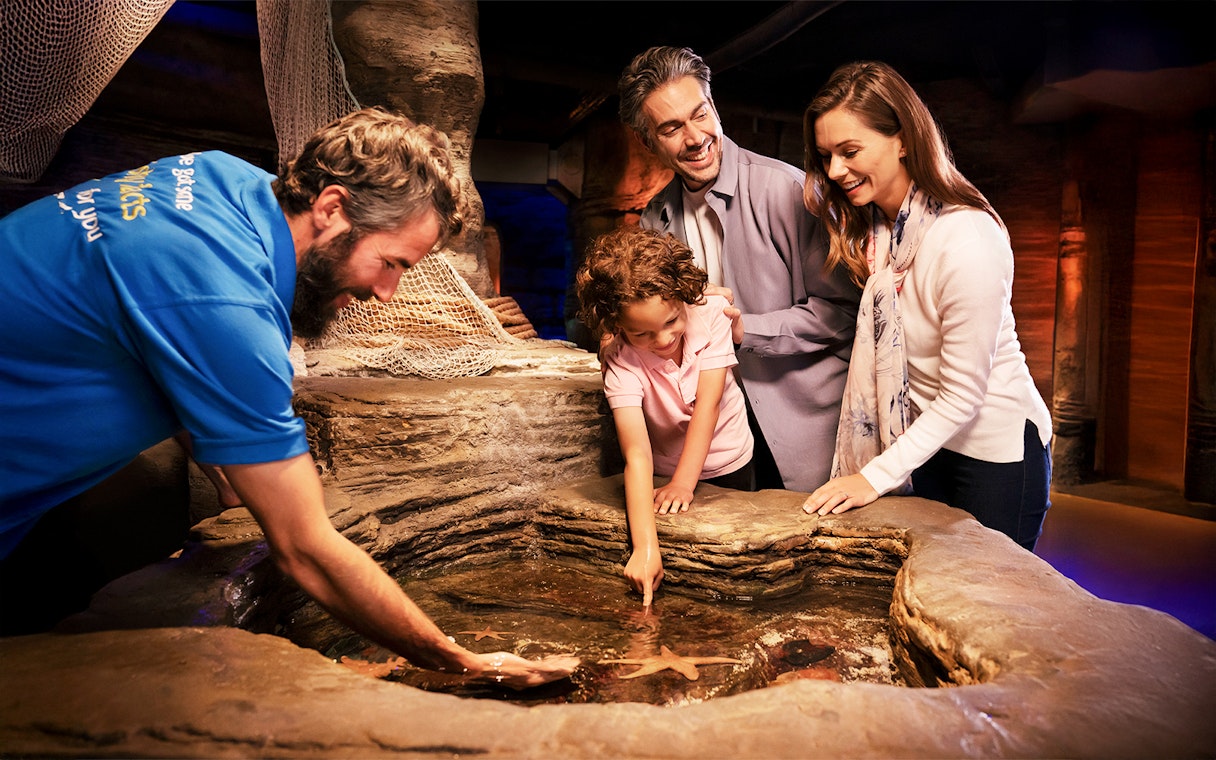 Guests exploring touch pools at Sea Life Aquarium, Legoland California.