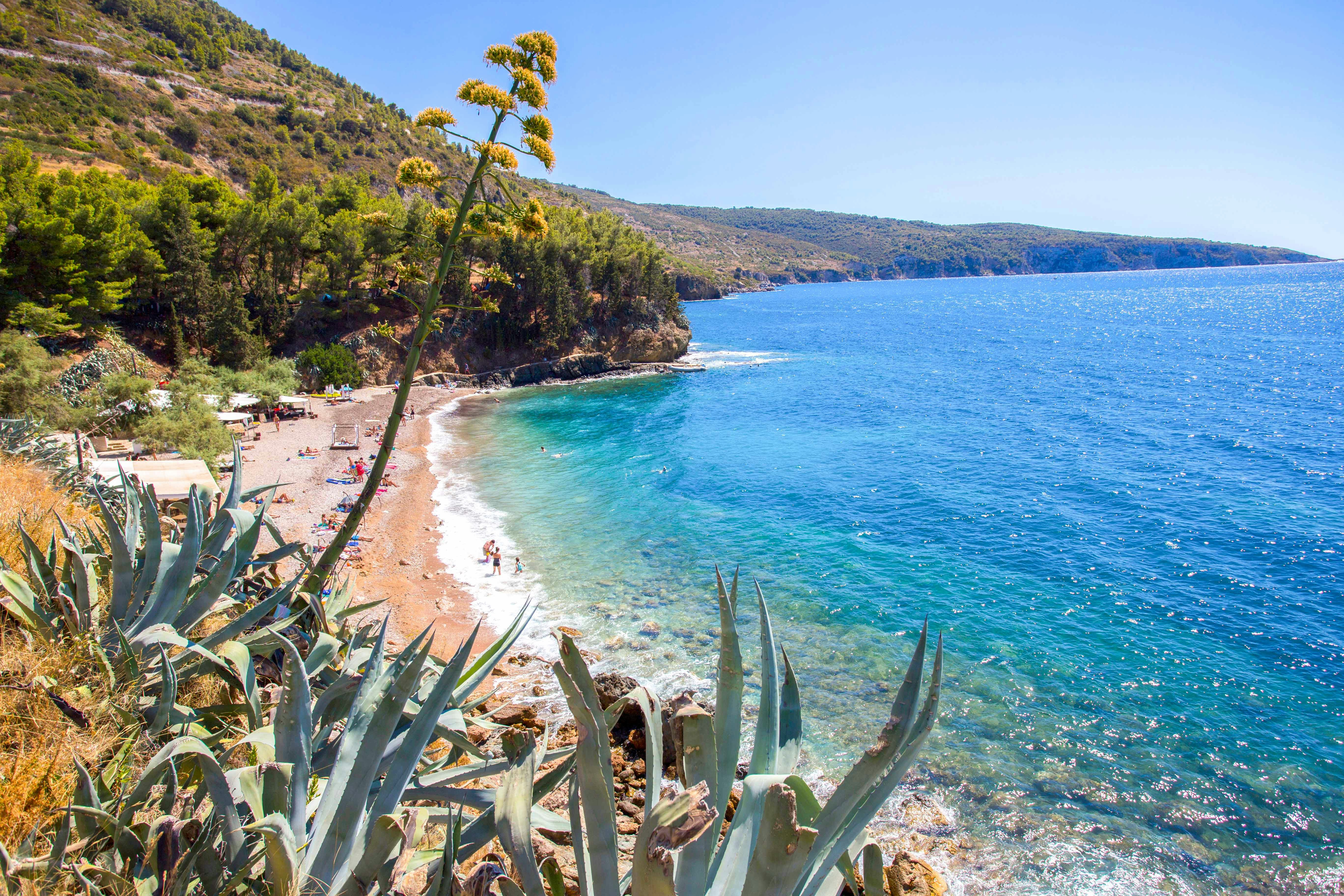Kamenice Beach with clear blue water and surrounding greenery.