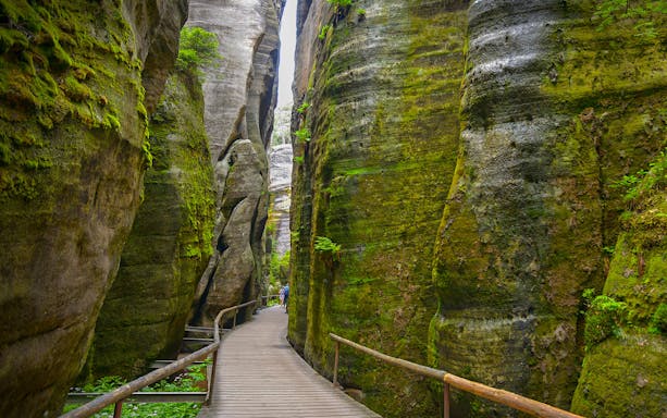 A wooden walkway at Adrspach, Wroclaw