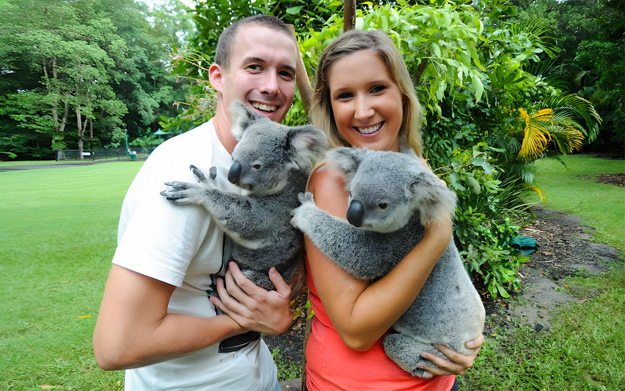 Couple posing with koalas