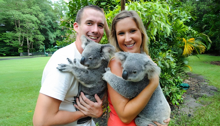 Couple posing with koalas