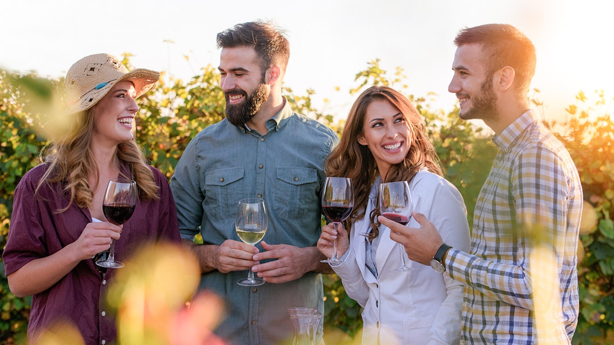 Tours de vinho em Chianti