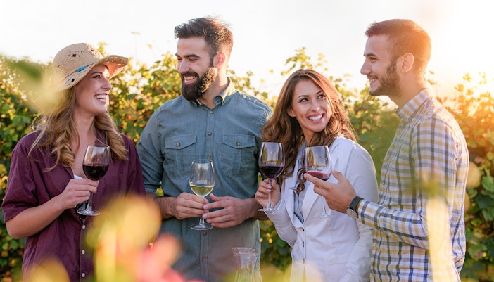 Friends drinking wine
