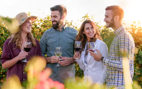 Friends enjoying wine in a vineyard setting.