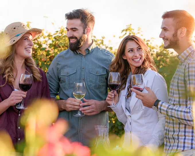 Guided Wine Tasting & Dinner Experience in Chianti