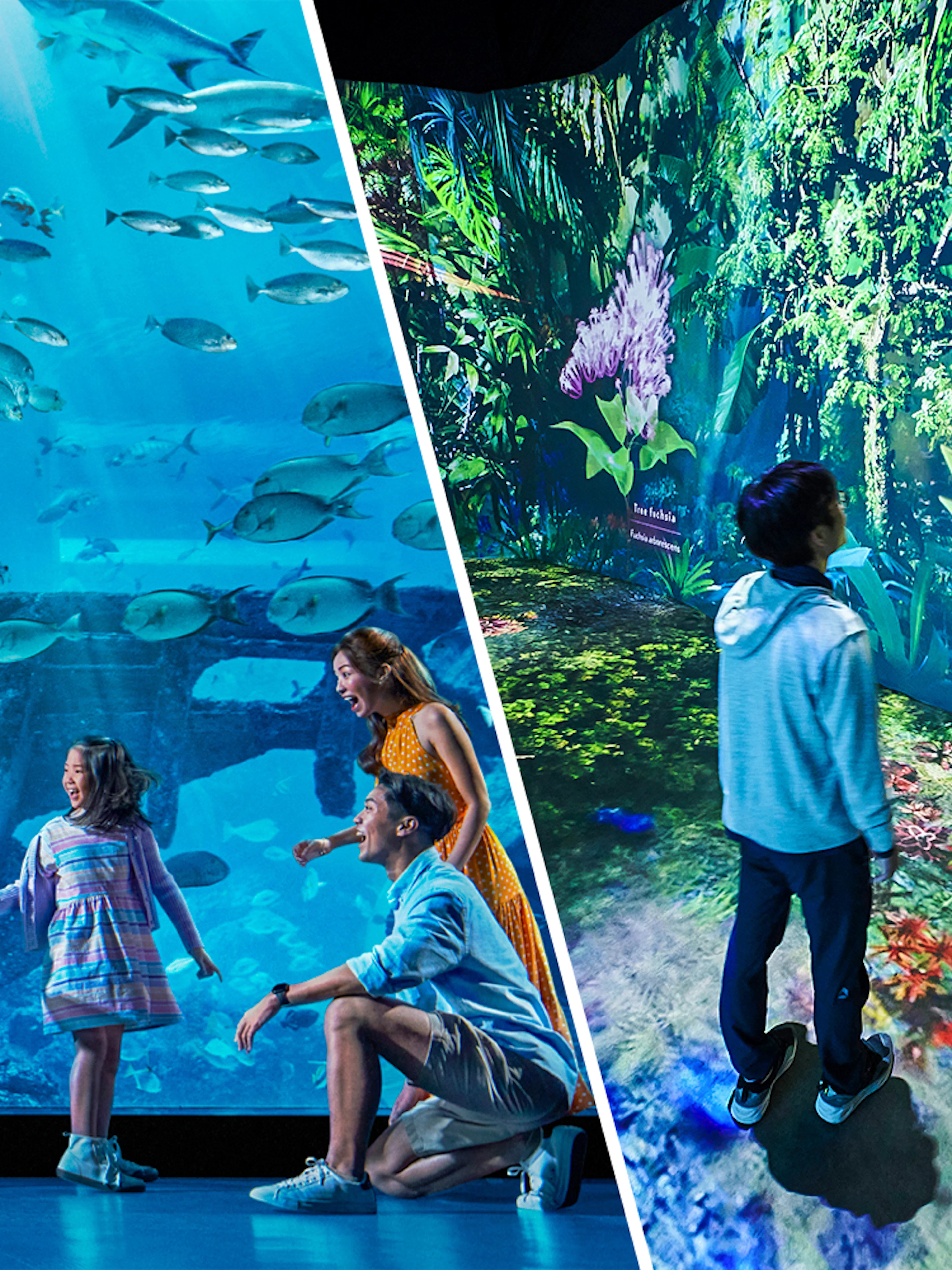 Children exploring an aquarium and digital rainforest exhibit.