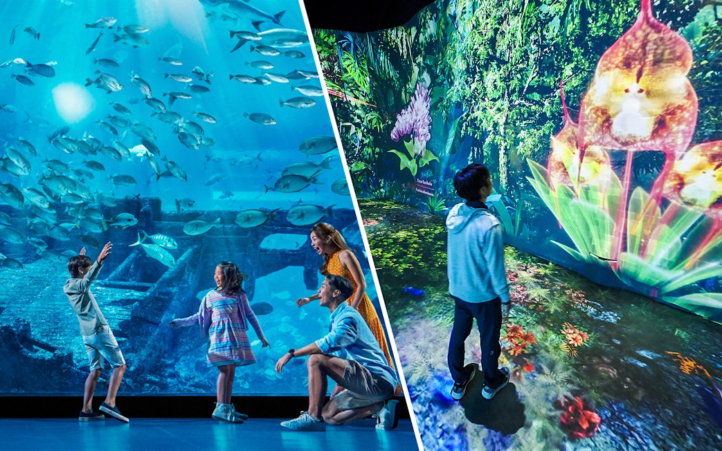 Children exploring an aquarium and digital rainforest exhibit.