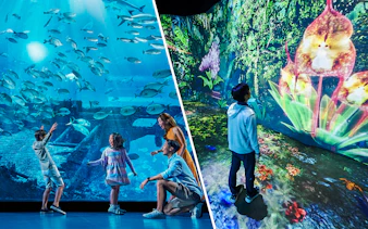 Children exploring an aquarium and digital rainforest exhibit.