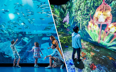 Children exploring an aquarium and digital rainforest exhibit.