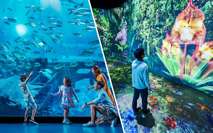 Children exploring an aquarium and digital rainforest exhibit.