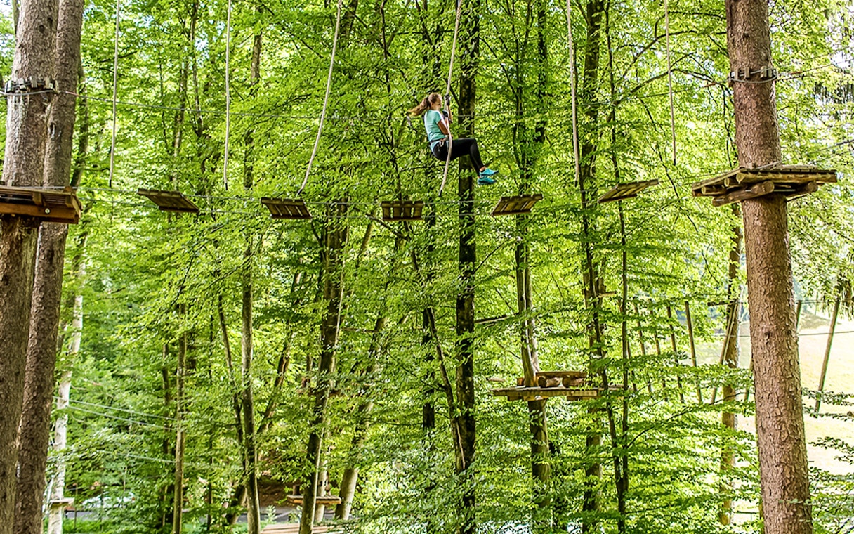 Person navigating ropes course in forest at Ropes Park Interlaken.