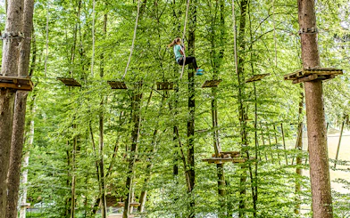 Person navigating ropes course in forest at Ropes Park Interlaken.
