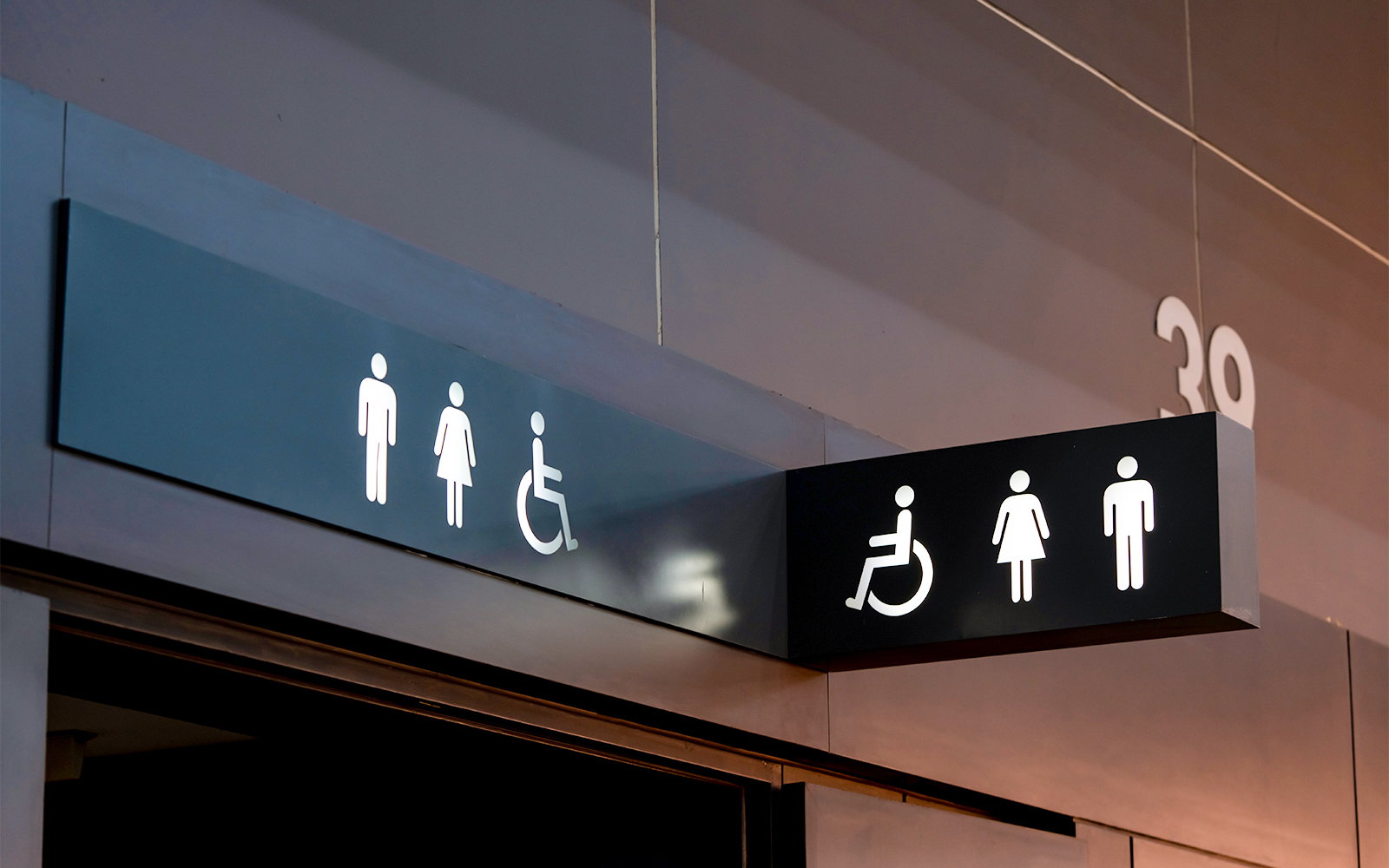 Inside Dream Forest Langkawi