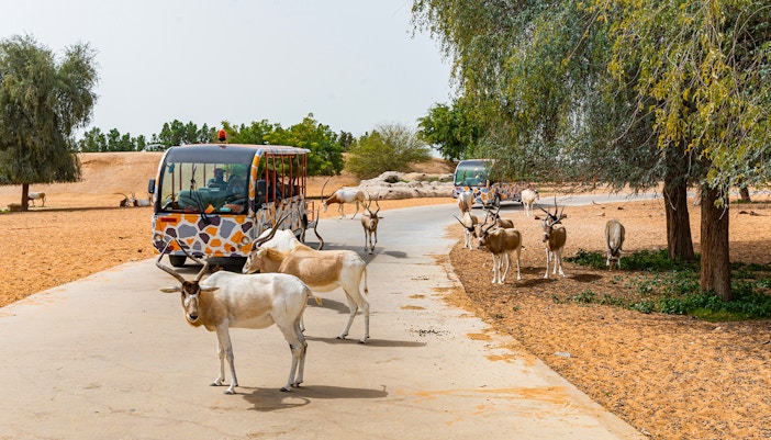 arabian desert safari dubai safari park