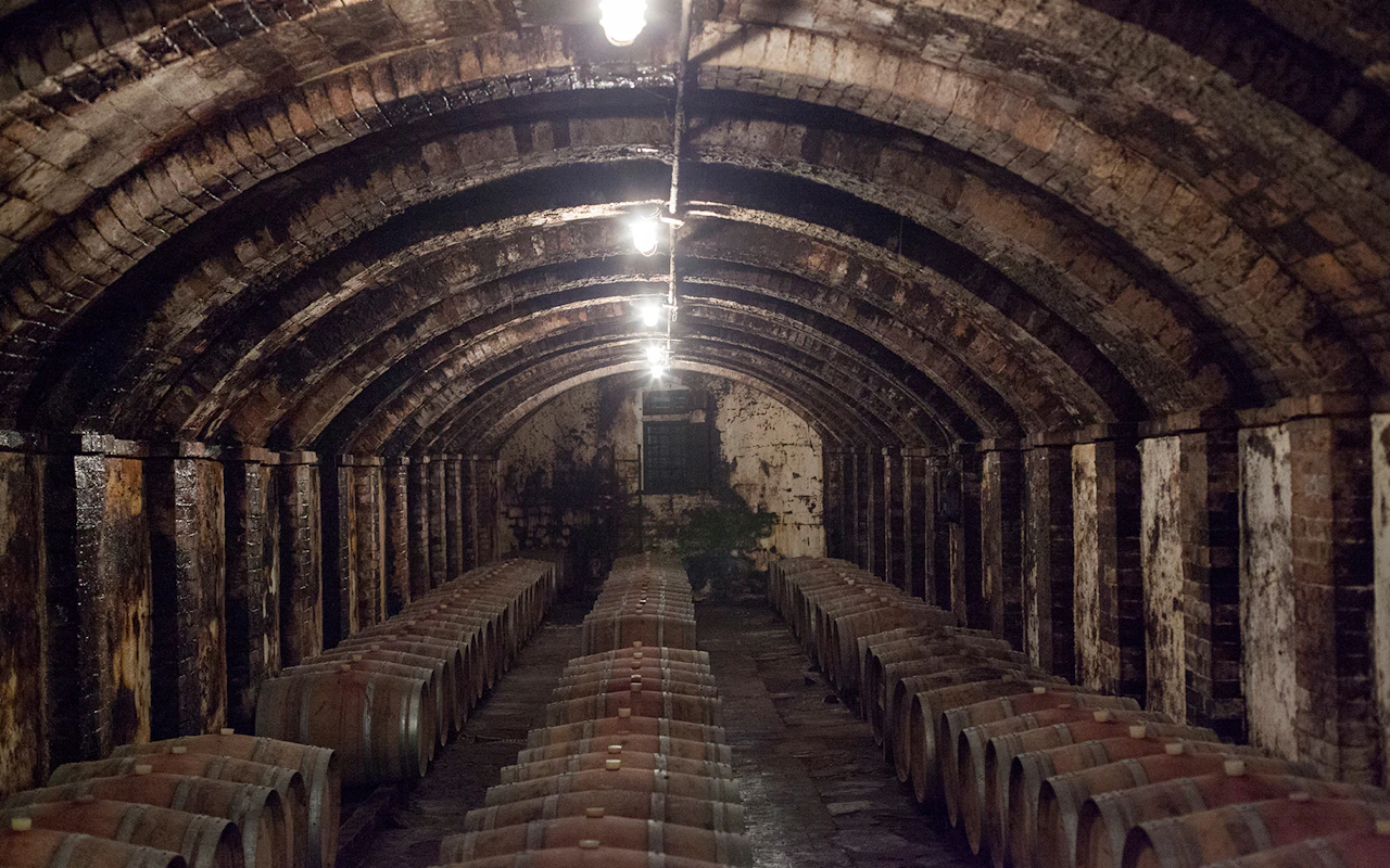 VIP Semi-Private Super Tuscan Wine Tour mit einer Meisterklasse durch einen Weinexperten — 6