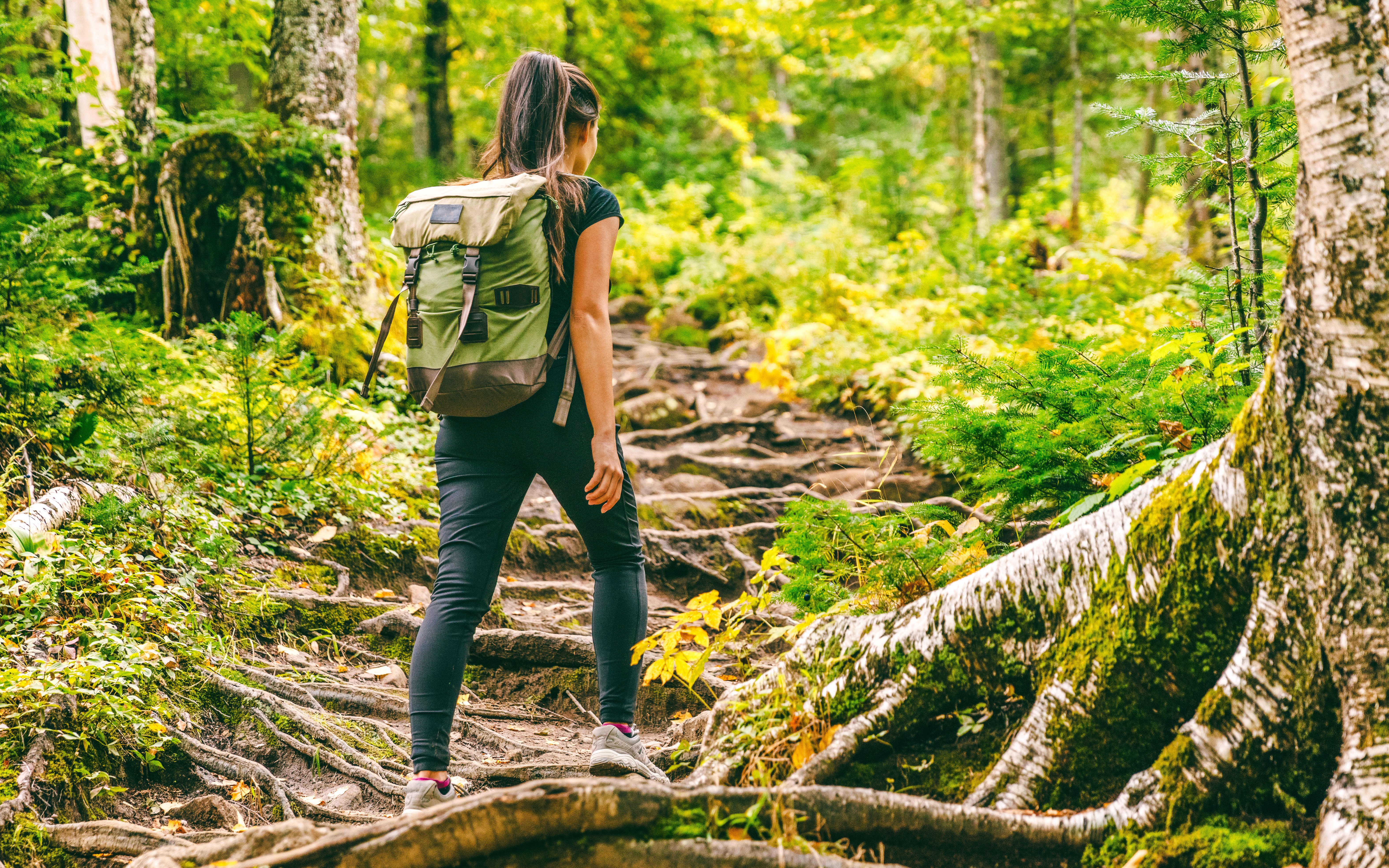 Woman hiking on a forest trail surrounded by lush greenery.