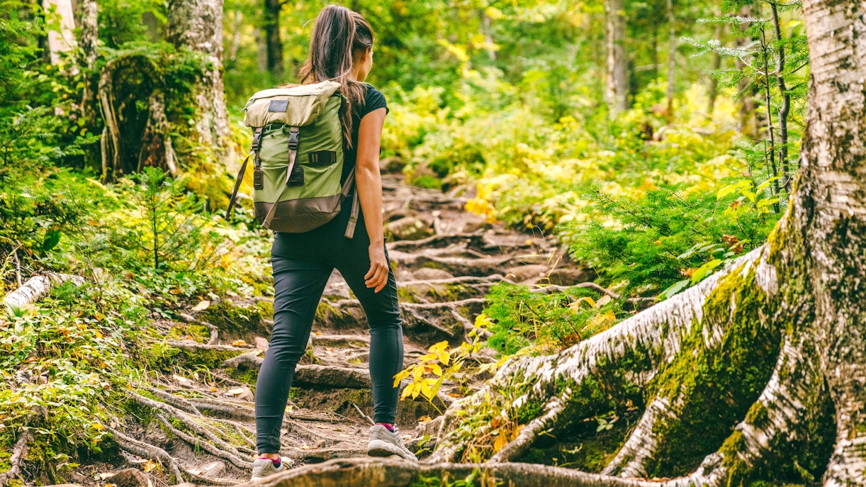 Woman hiking on a forest trail surrounded by lush greenery.