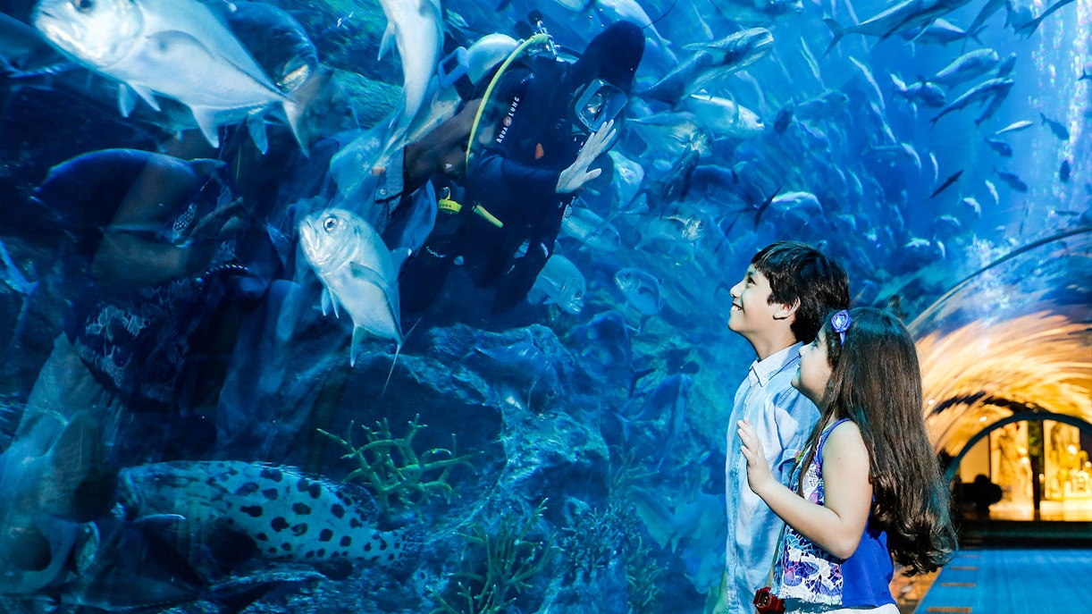 Dubai Aquarium Tickets