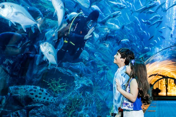 dubái: entradas al acuario y zoológico submarino-7
