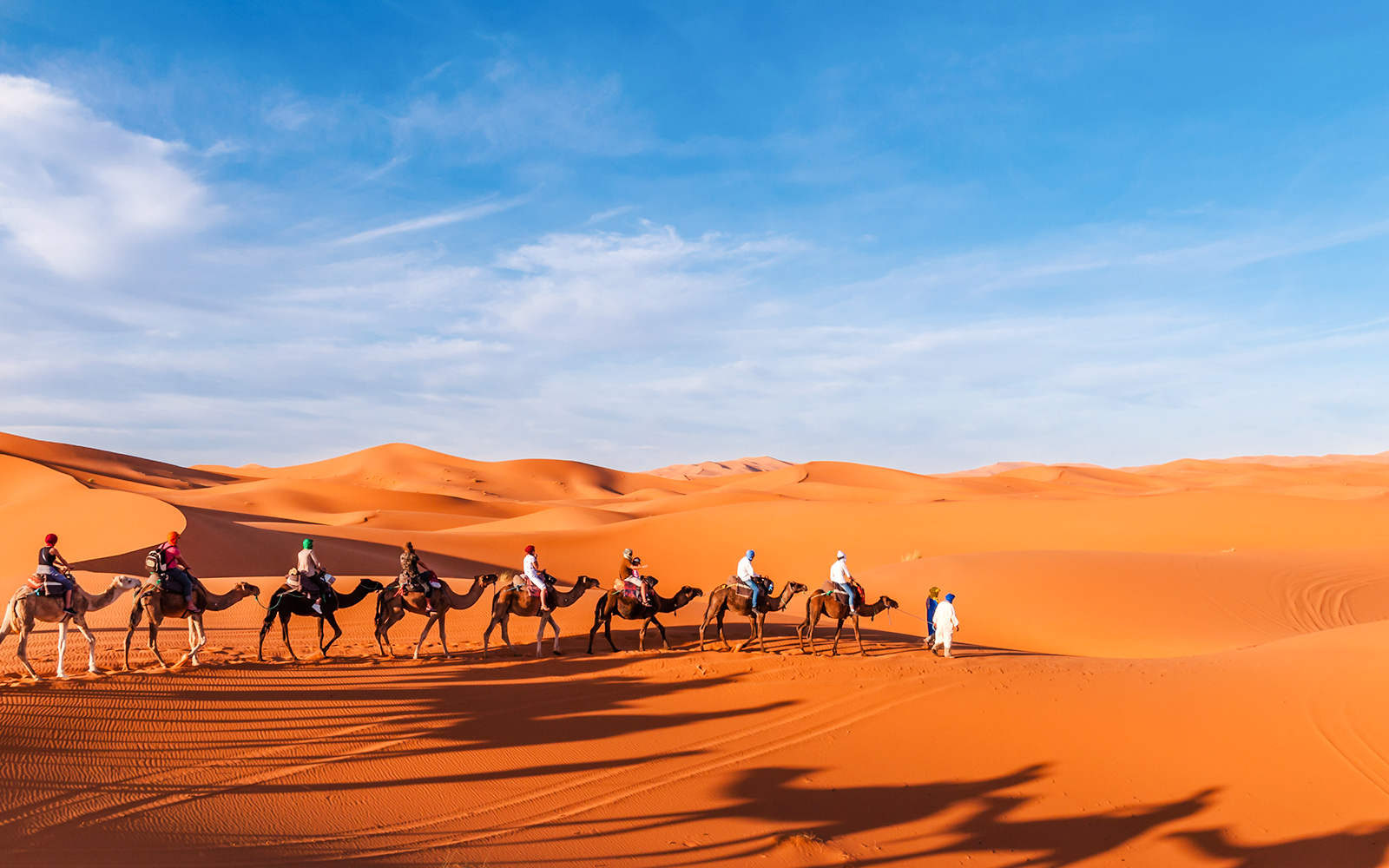 Camel caravan crossing Sahara dunes on Marrakech camel ride.