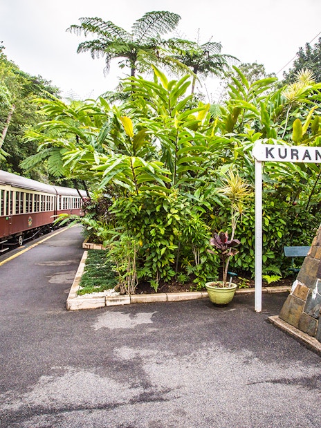 Kuranda Scenic Railway train at Kuranda station surrounded by lush greenery.