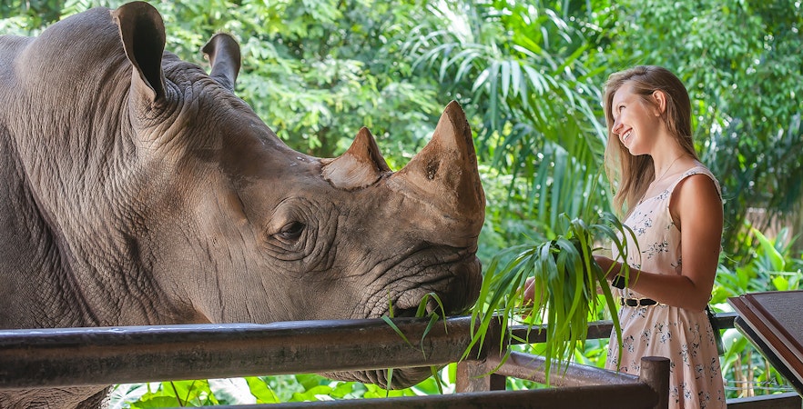 Grădina zoologică deschisă Khao Kheow