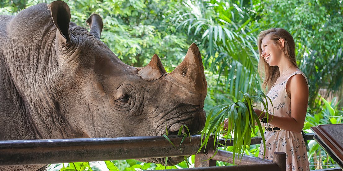 Zoo aperto di Khao Kheow