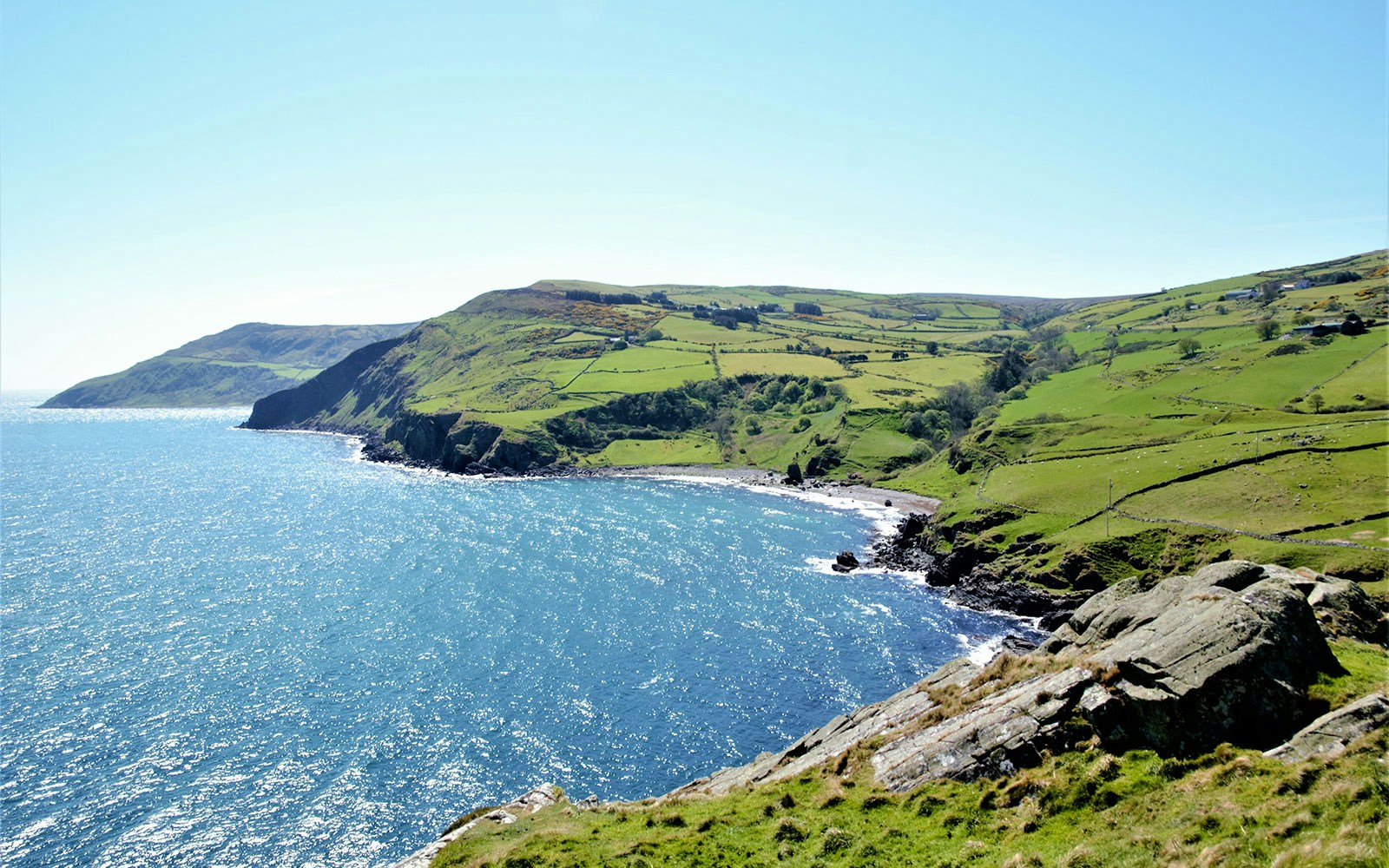 Giant's Causeway coastal view with cliffs and green fields, Northern Ireland.