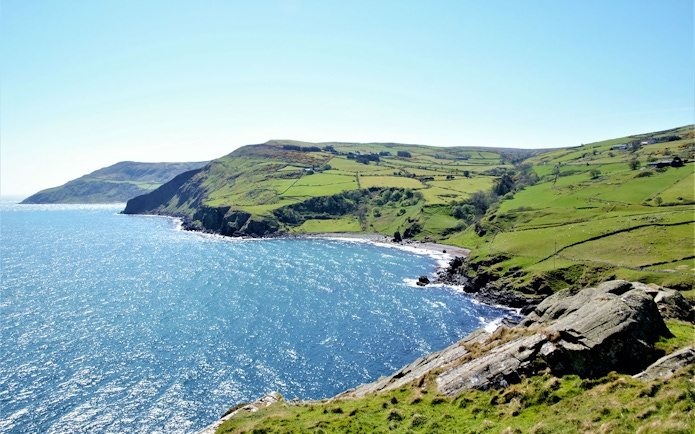 Giant's Causeway coastal view with cliffs and green fields, Northern Ireland.