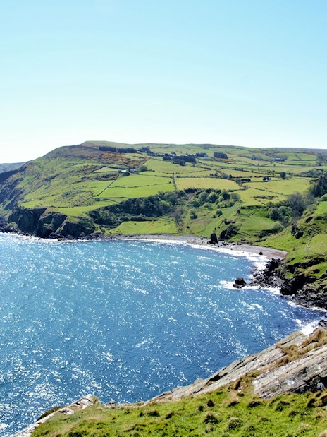 Giant's Causeway coastal view with cliffs and green fields, Northern Ireland.