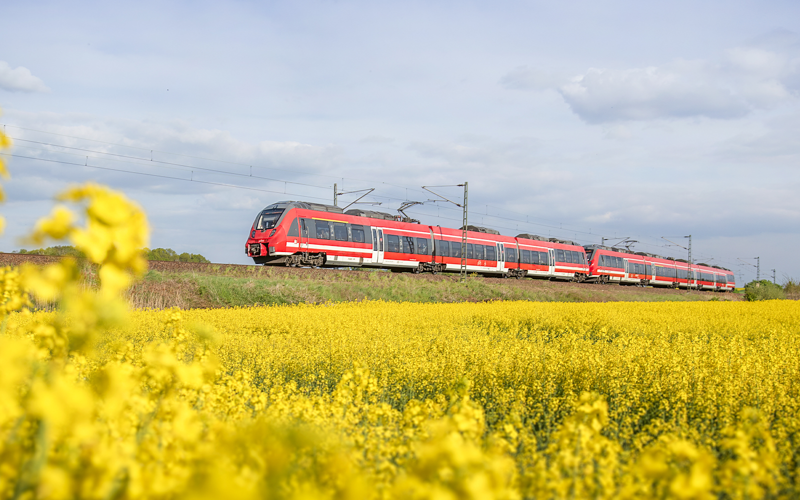 Deutsche Bahn train traveling alongside vibrant rapeseed fields in Germany.