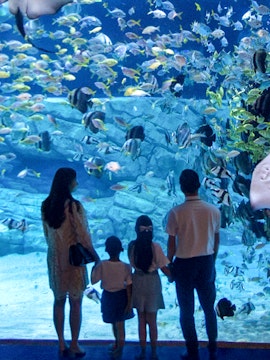 Family observing fish in a large aquarium, surrounded by colorful marine life.