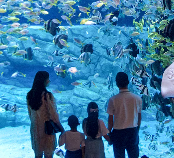 Family observing fish in a large aquarium, surrounded by colorful marine life.