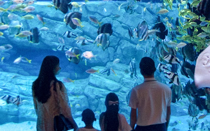 Family observing fish in a large aquarium, surrounded by colorful marine life.
