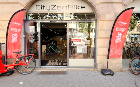wypożyczalnia rowerów elektrycznych lub segwayów w strasburgu-1