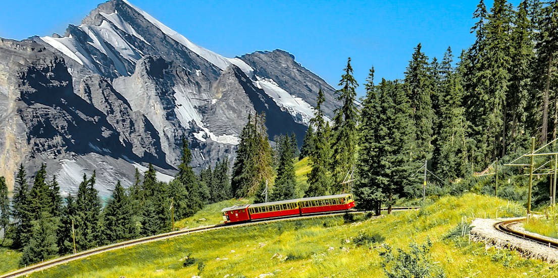Schynige Platte