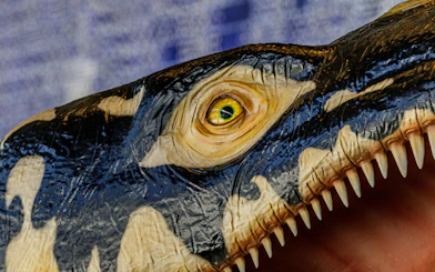 Close-up of a dinosaur model at Oceanário de Lisboa's SEA MONSTERS exhibition.