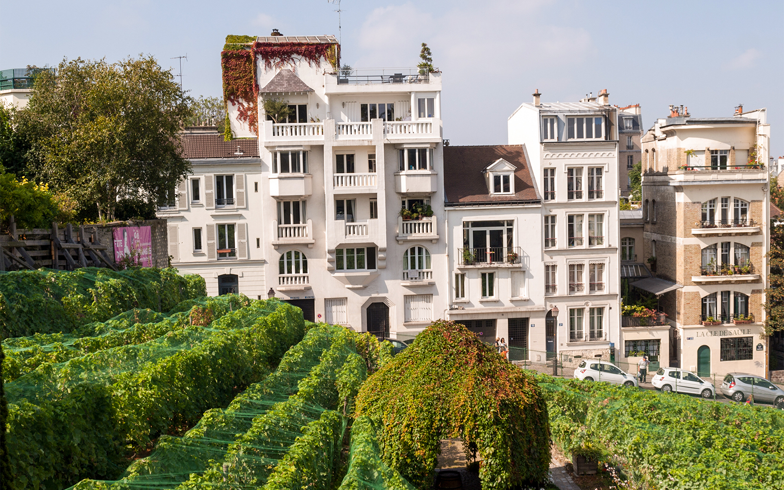 Musée de Montmartre & Renoir Gardens