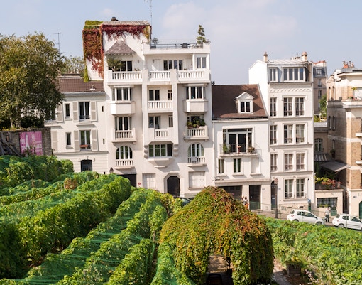 Montmartre Paris Attractions