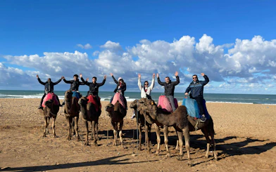 Tourists riding camels on a sandy beach with ocean in the background.