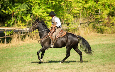 Horseback rider in countryside near Siena.