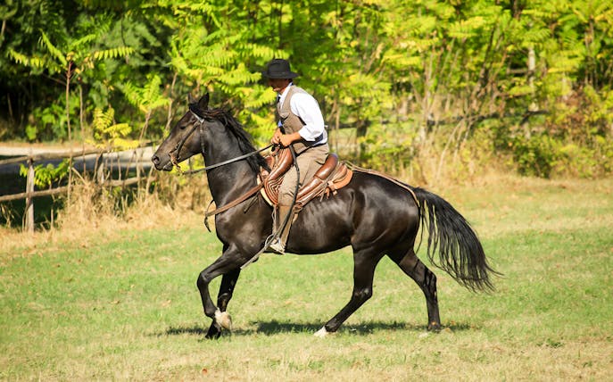 Horseback rider in countryside near Siena.
