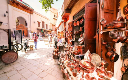 From Fes: City Tour with Sightseeing Highlights, Medina, Museum, Al Attarine Madrasa & Tannery
